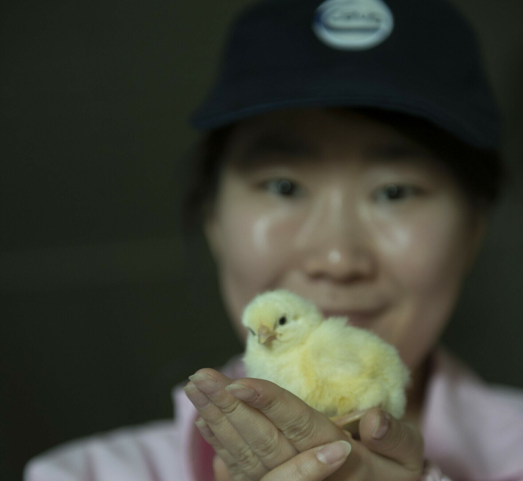 Hatchery- China
